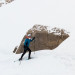 Schneeschuhe für alpine Touren